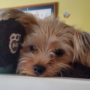 Meet your Posher, Darla